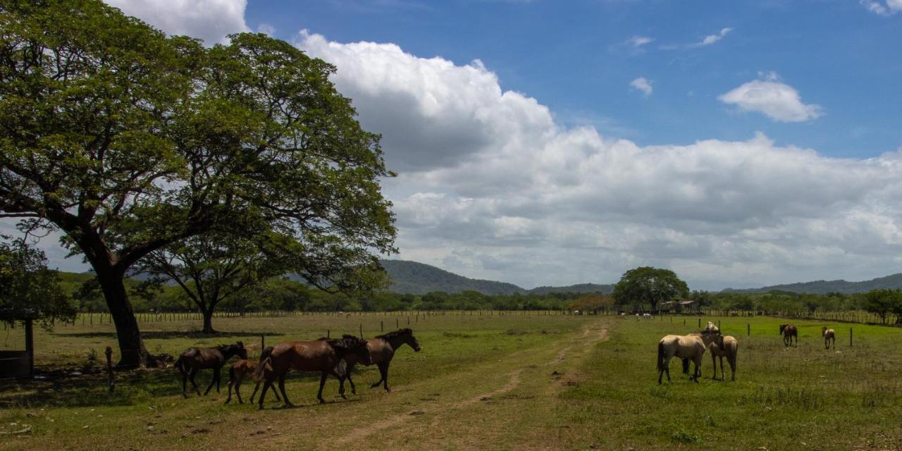 Rancho Humo Estancia Puerto Humo  Exterior photo