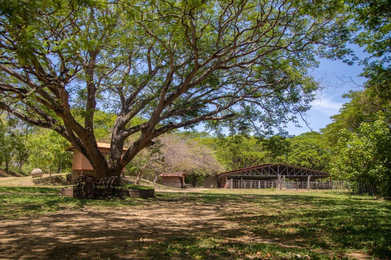 Rancho Humo Estancia Puerto Humo  Exterior photo